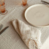 Servilletas bordadas set de 2