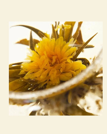 Té blanco floreciente con flores naturales