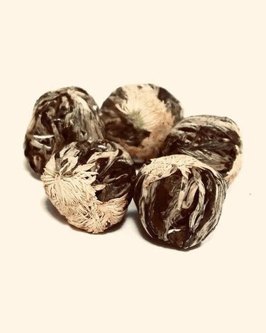 Té floreciente para infusión decorativa